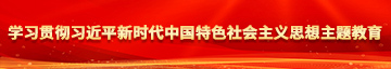 欧美毛茸茸BBM性爱学习贯彻习近平新时代中国特色社会主义思想主题教育